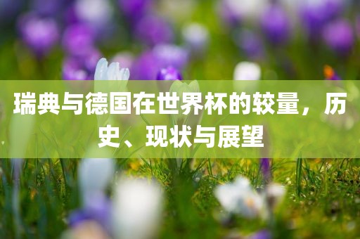 瑞典与德国在世界杯的较量，历史、现状与展望广西贺州市华昌新材料有限公司