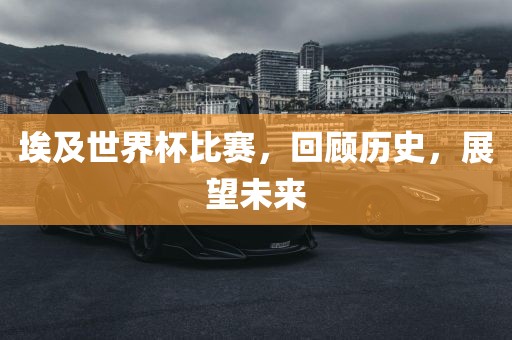 埃及世界杯比赛，回顾历史，展广西贺州市华昌新材料有限公司望未来