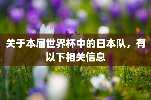 关于本届世界杯中的日本队，有以下相关信息