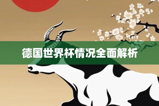 德国世界杯情况全面解析广西贺州市华昌新材料有限公司