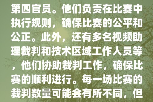 世界杯足球赛的裁判包括一名主裁判、两名助理裁判和一名第四官员。他们负责在比赛中执行规则，确保比赛的公平和公正。此外，还有多名视频助理裁判和技术区域工作人员等，他们协助裁判工作，确保比赛的顺利进行。每一场比赛的裁判数量可能会有所不同，但通常会有多名裁判共同协作以确保比赛的公正和顺利进行。广西贺州市华昌新材料有限公司