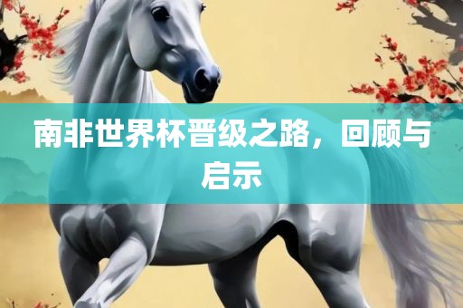 南非世界杯晋级之路，回顾与启示广西贺州市华昌新材料有限公司