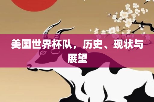 现状与展望