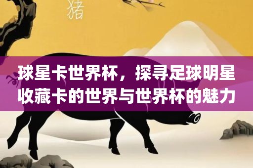 球星卡世界杯，探寻足球明星收藏卡的世界与世界杯的魅力