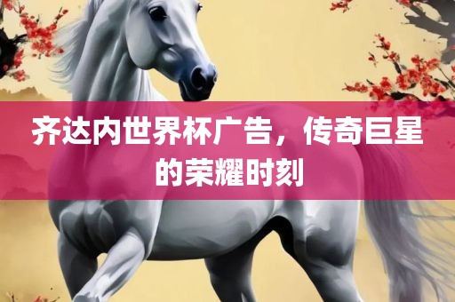 齐达内世界杯广告，传奇巨星的荣耀时刻