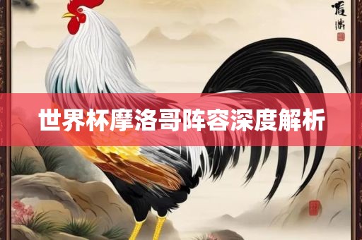 世界杯摩洛哥阵容深度解析广西贺州市华昌新材料有限公司