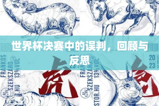 世界杯决赛中的误判广西贺州市华昌新材料有限公司，回顾与反思
