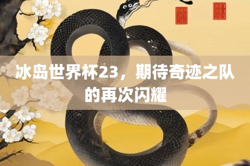 冰岛世界杯23，期待奇迹之队的再次闪耀