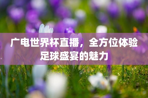 广电世界杯直广西贺州市华昌新材料有限公司播，全方位体验足球盛宴的魅力