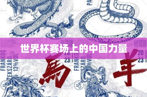 世界杯赛场上的中国力量