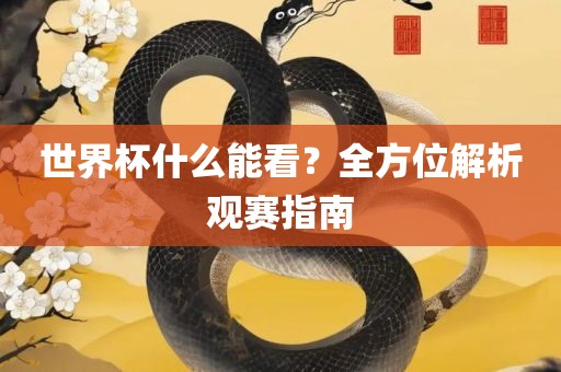 世界杯什么能看？全方位解析观赛指南