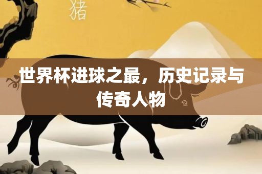 世界杯进球之最，历史记录与传奇人物广西贺州市华昌新材料有限公司
