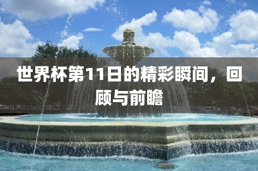 世界杯第11日的精彩瞬间，回顾与前瞻