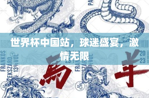 世界杯中国站，球迷盛宴，激情无限广西贺州市华昌新材料有限公司