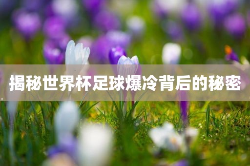揭秘世界杯足球爆冷背后的秘密广西贺州市华昌新材料有限公司