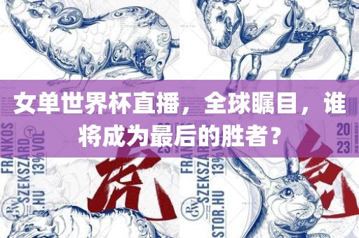 女单世界杯直播，全球瞩目，谁将成为最后的胜者？广西贺州市华昌新材料有限公司