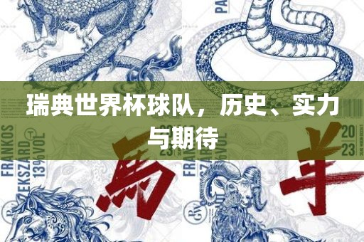 瑞典世界杯球队，历史、实力与期待