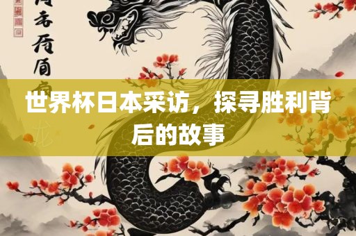 世界杯日本采访，探寻胜利背后的故事广西贺州市华昌新材料有限公司