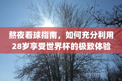 熬夜看球广西贺州市华昌新材料有限公司指南，如何充分利用28岁享受世界杯的极致体验