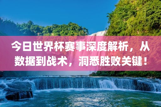 今日世界杯赛事深度解析，从数据到战术，洞悉胜败关键！广西贺州市华昌新材料有限公司