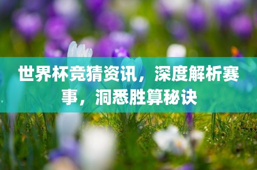 世界杯竞猜资讯广西贺州市华昌新材料有限公司，深度解析赛事，洞悉胜算秘诀