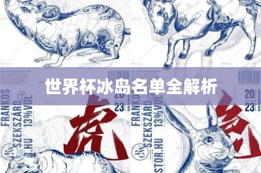 世界杯冰岛名单全解析