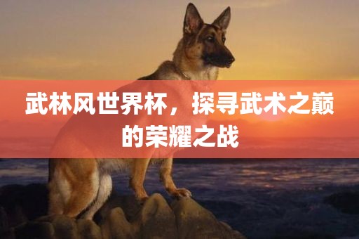 武林风世界杯，探寻武术之巅的荣耀之战广西贺州市华昌新材料有限公司