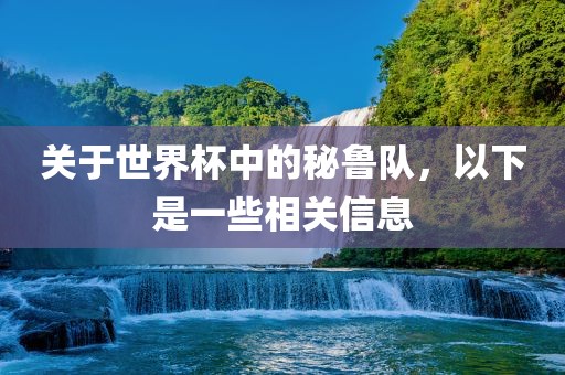 关于世界杯中的秘鲁队，以下是一些相关信息