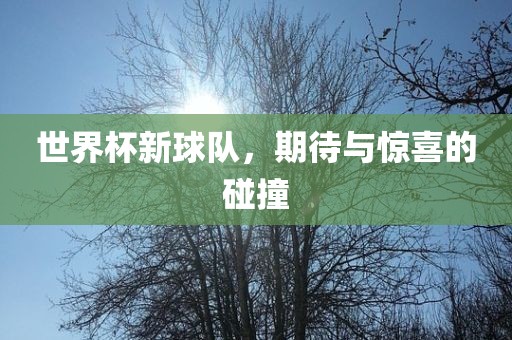 世界广西贺州市华昌新材料有限公司杯新球队，期待与惊喜的碰撞