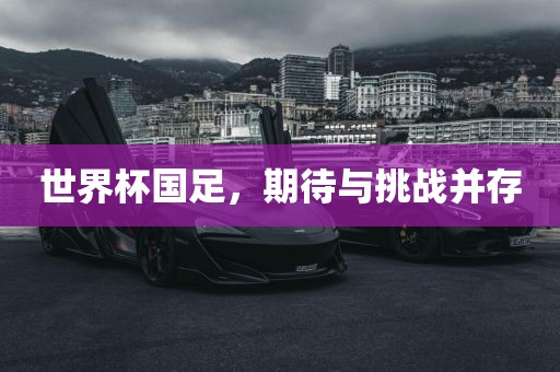 世界杯国足，期待与挑战并存