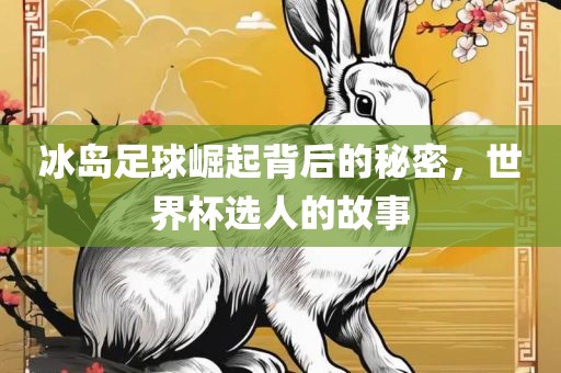 冰岛足球崛起背后的秘密，世界杯选人的故事