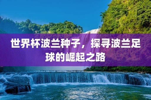 世界杯波兰种子，探寻波兰足球的崛起之路