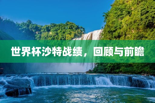 世界杯沙特战绩，回顾与前瞻