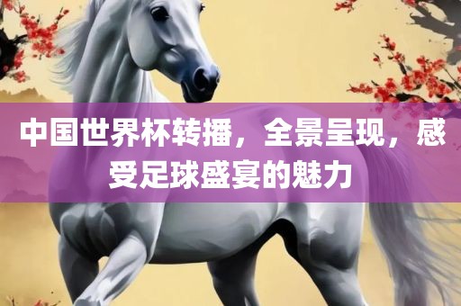中国世界杯转播，全景呈现，感受足球盛宴的魅力广西贺州市华昌新材料有限公司