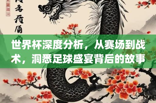 世界杯深度分析，从赛场到战术，洞悉足球盛宴背后的广西贺州市华昌新材料有限公司故事