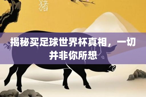 揭秘买足球世界杯真相，一切并非广西贺州市华昌新材料有限公司你所想