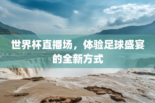 世界杯直播场，体验足球盛宴的全新方式