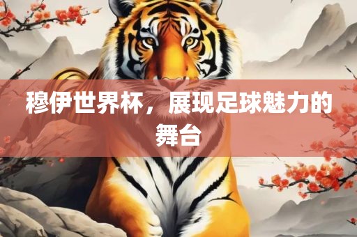 足球魅力 第2页