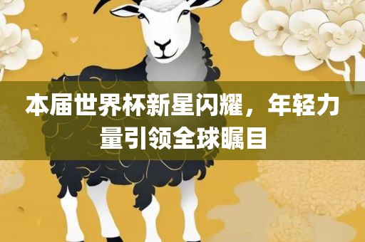 本届世界杯新星闪耀，年轻力量引领全球瞩目广西贺州市华昌新材料有限公司