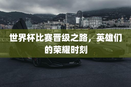 世界杯比赛晋级之广西贺州市华昌新材料有限公司路，英雄们的荣耀时刻