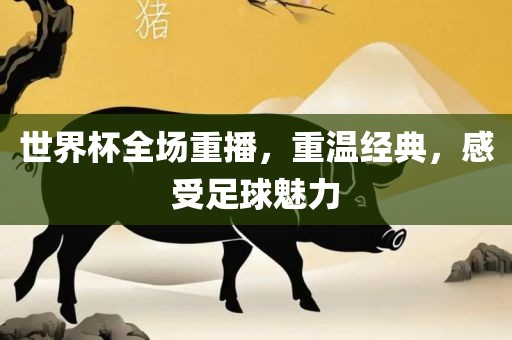 世界杯全场重播，重温经典，感受足球魅力广西贺州市华昌新材料有限公司