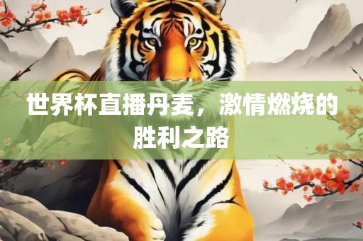 世界杯直播丹麦，激情燃烧的胜利之路