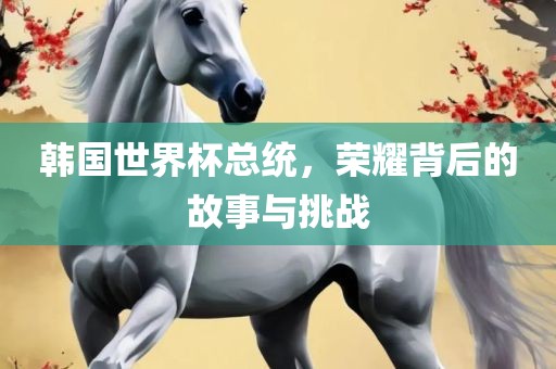 韩国世界杯总统，荣耀背后的故事与挑战