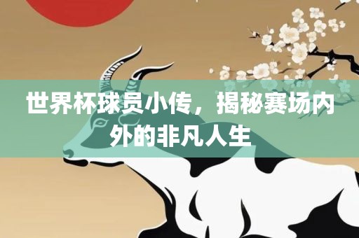 世界杯球员小传，揭秘赛场内外的非凡人生