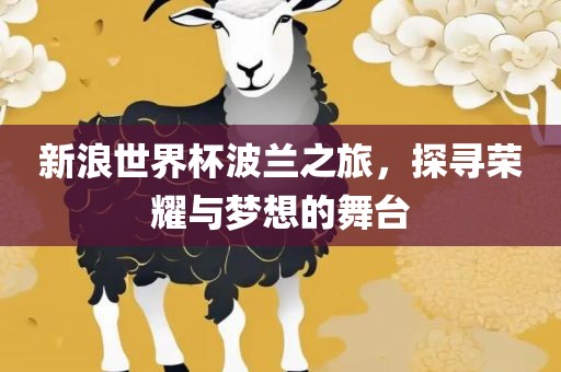 新浪世界杯波兰之旅，探寻荣耀与梦想的舞台