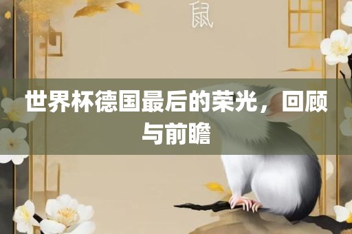 世界杯德国最后的荣光，回顾与前瞻