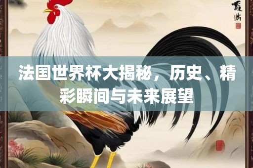 法国世界杯大揭秘，历史、精彩瞬间与未来展望
