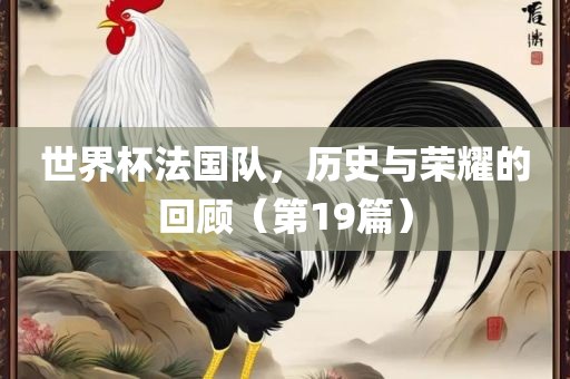 世界杯法国队，历史与荣耀的回顾（第19篇）