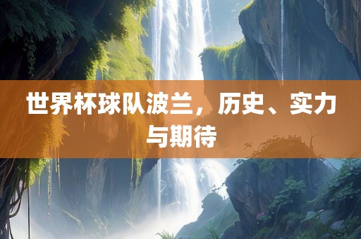 世界杯球队波兰，历史、实力与期广西贺州市华昌新材料有限公司待