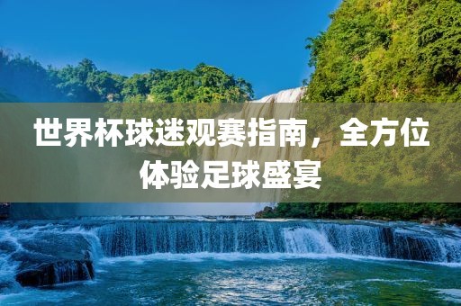 世界杯球迷观赛指南，全方位体验足球盛宴